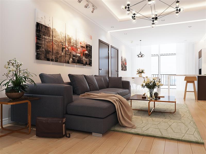 Một số ý tưởng thiết kế nội thất chung cư Tràng An Complex 