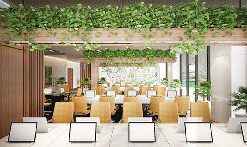 Thiết kế nội thất văn phòng tại Đà Nẵng với không gian xanh